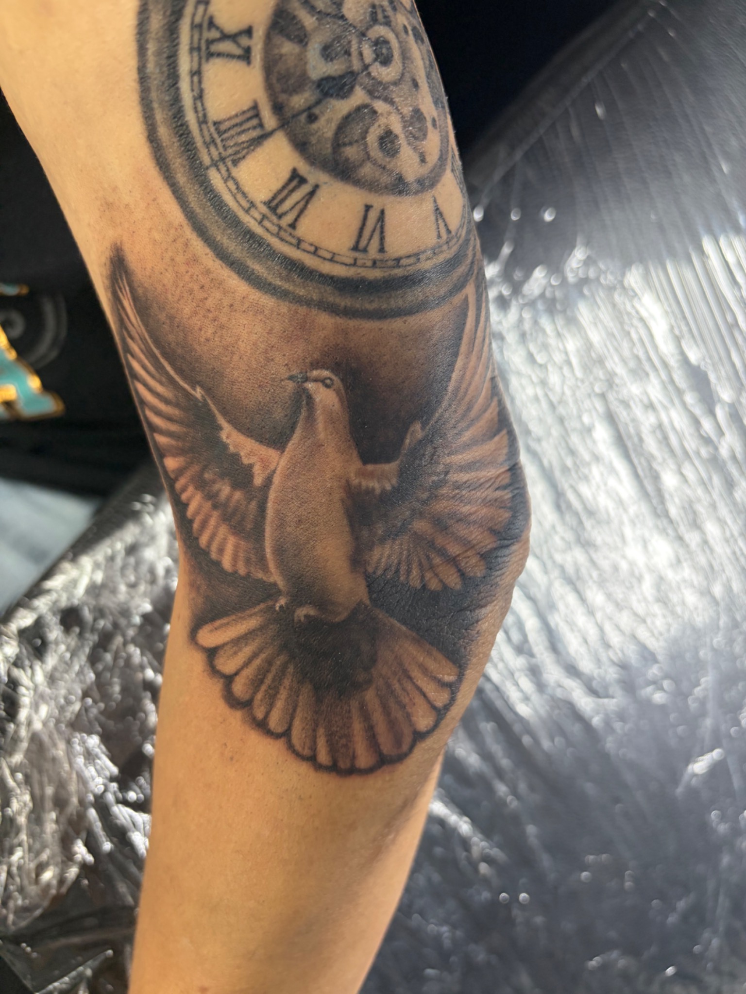 Black and grey dove and clock forearm tattoo